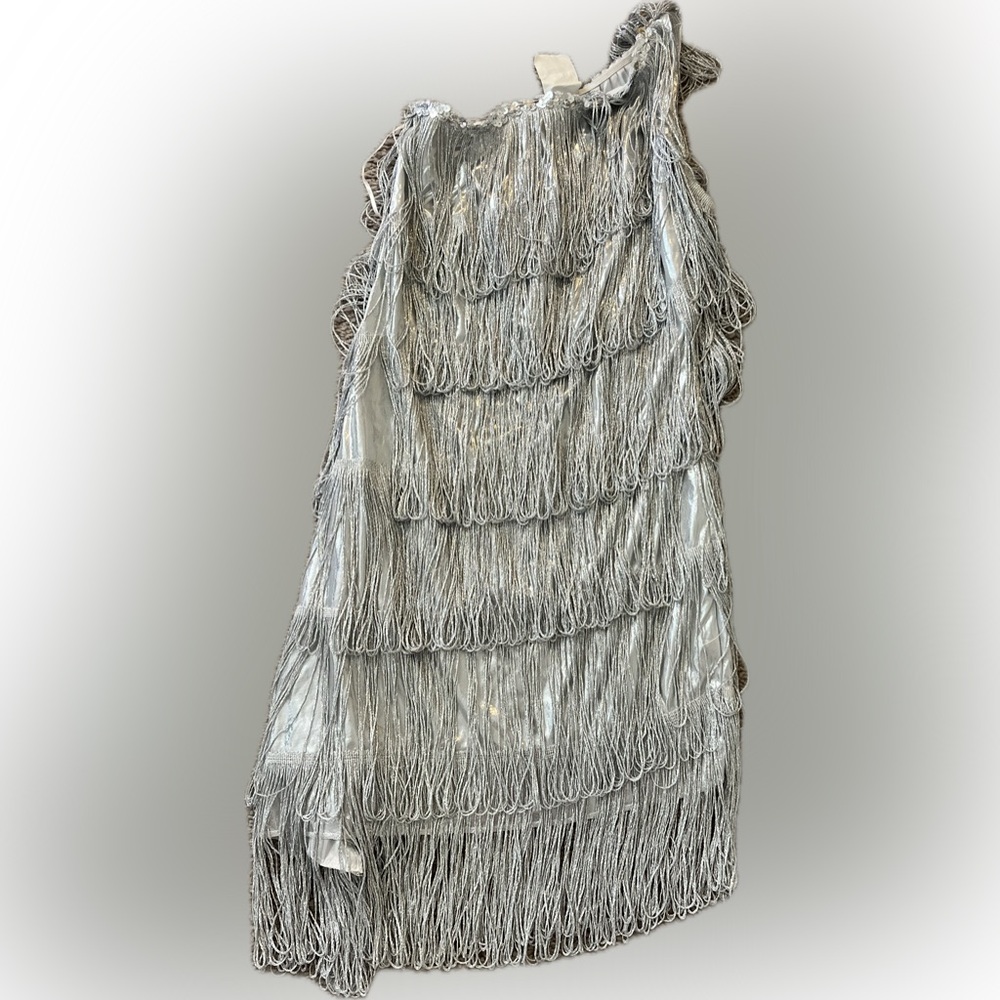Elegant Silver Fringe Flapper Costume Dress and feather hat piece